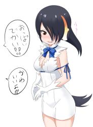Rule 34 | 1girl, alternate costume, bad id, bad twitter id, black hair, blue bow, blue bowtie, blue ribbon, blush, bow, bowtie, breasts, brown eyes, cleavage, collared dress, commentary request, cosplay, cowboy shot, dress, dungeon ni deai wo motomeru no wa machigatteiru darou ka, embarrassed, emperor penguin (kemono friends), fingers together, gloves, hair over one eye, headphones, hestia (danmachi), hestia (danmachi) (cosplay), ilyfon133, kemono friends, looking down, multicolored hair, nose blush, orange hair, penguin tail, ribbon, short hair, sleeveless, sleeveless dress, solo, speech bubble, tail, translation request, white dress, white gloves, white hair