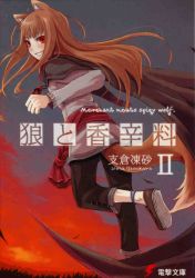 Rule 34 | 00s, animal ears, anklet, ayakura juu, cover, cover page, holo, jewelry, novel cover, official art, solo, spice and wolf, tail, wolf ears, wolf tail