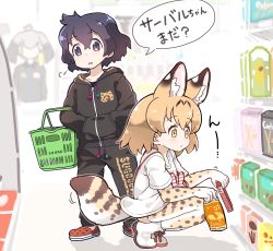 Rule 34 | 10s, 3girls, alternate costume, alternate hairstyle, animal ears, black eyes, black hair, cashier, casual, clothes writing, contemporary, convenience store, hair between eyes, head wings, holding, hood, hooded jacket, jacket, japari symbol, kaban (kemono friends), kemono friends, light brown hair, long hair, multiple girls, serval (kemono friends), serval print, serval tail, shirt, shoebill (kemono friends), shop, short hair, silver hair, snack, squatting, t-shirt, tail, tanaka kusao, thighhighs, translated, wings, yellow eyes