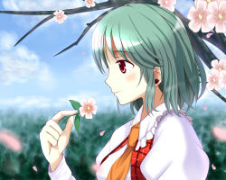 Rule 34 | 1girl, ascot, bad id, bad pixiv id, blue sky, cherry blossoms, cloud, day, green hair, highres, kazami yuuka, open clothes, open vest, petals, profile, puffy short sleeves, puffy sleeves, red eyes, shirt, short sleeves, sky, smile, solo, touhou, tree, upper body, vest, wendell