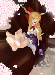 Rule 34 | 3girls, animal, animal on head, apron, bad id, bad pixiv id, bare legs, barefoot, bird, bird on head, blonde hair, blush, bow, bowtie, breasts, broom, cherry blossoms, crossed legs, cup, closed eyes, fang, feet, foot focus, gourd, hair bow, hakurei reimu, hat, highres, holding, holding cup, horns, ibuki suika, in tree, japanese clothes, kakiha makoto, kirisame marisa, long hair, miko, multiple girls, on head, open mouth, petals, red bow, sakazuki, sitting, small breasts, soles, solo focus, toes, touhou, tree, witch hat