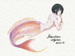 Rule 34 | 1girl, artist name, black hair, commentary request, completely nude, eating, fins, food, from behind, from side, full body, highres, holding, holding food, mermaid, monster girl, nude, original, purple eyes, scales, short hair, simple background, solo, soramaru ell, twitter username, watermark, white background