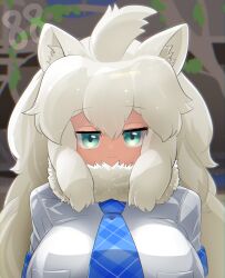 Rule 34 | 1girl, :3, ahoge, animal ear fluff, animal ears, blue eyes, blue necktie, blurry, blurry background, breasts, brown background, closed mouth, commentary request, fur collar, highres, kemono friends, large breasts, lets0020, lion ears, lion girl, long hair, looking at viewer, medium bangs, necktie, numbered, plaid necktie, shirt, sidelocks, smile, solo, tree, upper body, white hair, white lion (kemono friends), white shirt