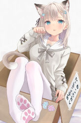 Rule 34 | 1girl, :p, akino ell, animal ear fluff, animal ears, bed sheet, black ribbon, blue eyes, blush, bow, box, breasts, cardboard box, cat ears, cat girl, cat tail, closed mouth, collarbone, commentary request, grey background, grey bow, grey hair, grey skirt, grey sweater, hair ornament, hair ribbon, hairclip, hand up, heart, heart hair ornament, highres, in box, in container, long hair, long sleeves, looking at viewer, medium breasts, no shoes, original, pantyhose, paw pose, paw print socks, paw print soles, pleated skirt, puffy long sleeves, puffy sleeves, ribbon, sailor collar, shirt, simple background, skirt, sleeves past wrists, smile, soles, solo, sweater, tail, tongue, tongue out, translation request, white pantyhose, white sailor collar, white shirt