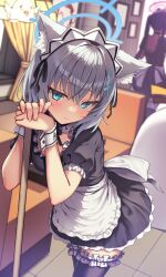 Rule 34 | 2girls, animal ear fluff, animal ears, apron, black dress, black thighhighs, blue archive, blue eyes, breasts, commentary request, doodle sensei (blue archive), dress, expressionless, frilled dress, frilled thighhighs, frills, grey hair, halo, leaning forward, looking at viewer, maid, maid headdress, medium breasts, medium hair, multiple girls, peroro (blue archive), ryuinu, sensei (blue archive), serika (blue archive), shiroko (blue archive), solo focus, thighhighs, white apron, wolf ears, wolf girl