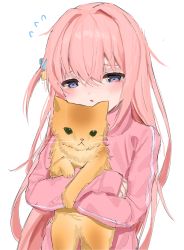 Rule 34 | 1girl, absurdres, animal, blue eyes, blush, bocchi the rock!, cat, cube hair ornament, flying sweatdrops, gotoh hitori, hair ornament, highres, holding, holding animal, holding cat, jacket, long hair, long sleeves, one side up, pink hair, pink jacket, simple background, slepp, solo, track jacket, upper body, white background