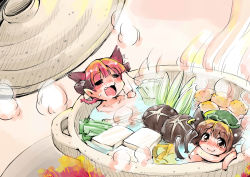 Rule 34 | 2girls, absurdres, animal ears, bathing, blush, braid, cat ears, cat girl, cat tail, chen, closed eyes, earrings, fang, female focus, food, highres, hotpot, in food, jewelry, kaenbyou rin, mini person, minigirl, multiple girls, multiple tails, neko nabe, nude, pot, same-sex bathing, shared bathing, shinapuu, soup, tail, too literal, touhou, twin braids, twintails, vegetable