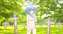 Rule 34 | 1girl, absurdres, blue hair, bra, commission, cross, female focus, forest, grass, highres, kiniro tofu, looking at viewer, nature, neptune (series), outdoors, panties, pink eyes, rom (neptunia), solo, tree, underwear, white bra, white panties, white sister rom