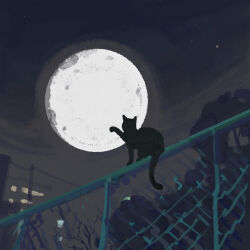Rule 34 | absurdres, animal, animal focus, black cat, cat, chain-link fence, fence, full moon, highres, katakai, moon, night, original, outdoors, power lines, sky, star (sky), urban
