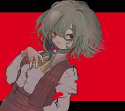 Rule 34 | 1girl, ascot, black border, blush, border, breasts, brown skirt, brown vest, buttons, closed mouth, collared shirt, green hair, grey shirt, hair between eyes, hand on own chest, hand on own hip, hand up, highres, inkopico, juliet sleeves, kazami yuuka, long sleeves, looking to the side, medium breasts, open clothes, open vest, plaid, plaid skirt, plaid vest, puffy sleeves, red background, red eyes, shirt, short hair, simple background, skirt, smile, solo, standing, touhou, vest, yellow ascot