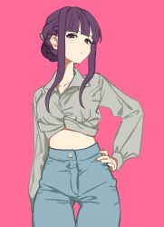 Rule 34 | 1girl, braid, breasts, fern (sousou no frieren), hand on own hip, highres, hikentai0112, long hair, looking at viewer, midriff, pink background, purple eyes, purple hair, simple background, solo, sousou no frieren