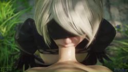 Rule 34 | 1girl, 3d, :&gt;=, animated, black dress, black hairband, blindfold, breasts, breasts out, dress, feather-trimmed sleeves, feather trim, fellatio, from above, hair over eyes, hairband, juliet sleeves, kneeling, long sleeves, medium breasts, nier:automata, nier (series), nipples, nose, oral, penis, pov, puffy sleeves, resized, ribbed dress, short hair, silver hair, sound, third-party edit, uncensored, upscaled, video, volkor, yeero, 2b (nier:automata)