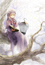 Rule 34 | 1girl, aocean, birdcage, book, bow, branch, cage, capelet, crescent, dress, female focus, hair bow, hat, holding, holding book, long hair, looking at viewer, open book, patchouli knowledge, purple eyes, purple hair, smile, solo, touhou