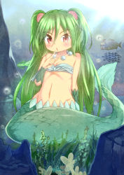 Rule 34 | 10s, 1girl, blush, clam, collarbone, crossover, fish, gem, green hair, groin, hair ornament, hideauze, index finger raised, jewelry, long hair, mermaid, monster girl, muromi-san, namiuchigiwa no muromi-san, navel, necklace, niizuka (c-drop), open mouth, pearl (gemstone), red eyes, seaman, seashell, season connection, shell, sitting, solo, suisei no gargantia, twintails, two side up, underwater, very long hair