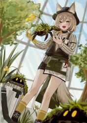 Rule 34 | 1girl, :d, absurdres, animal ears, arknights, beanstalk (arknights), black shorts, blush, bottle, braid, brown eyes, brown shorts, choker, crab, day, flower, gloves, green hair, green nails, hat, highres, indoors, k-yosinori, light brown hair, multicolored hair, open mouth, shoes, shorts, single glove, smile, sneakers, socks, solo, spray bottle, standing, streaked hair, striped sleeves, tree, window, yellow eyes, yellow gloves, yellow socks