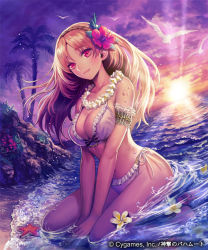 Rule 34 | 10s, 1girl, armband, asatani tomoyo, bad id, bad pixiv id, beach, bikini, bird, breasts, brown hair, cleavage, cygames, dutch angle, fangs, flower, flower necklace, flower wreath, hair flower, hair ornament, hairband, hibiscus, jewelry, large breasts, long hair, navel, necklace, ocean, outdoors, palm tree, plant, red eyes, rock, sand, seagull, shingeki no bahamut, shore, sitting, sky, solo, sun, sunlight, sunset, swimsuit, tree, water, wet