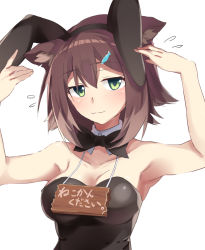 Rule 34 | 1girl, :3, animal ears, armpits, black bow, black bowtie, bow, bowtie, breasts, brown hair, cat ears, commentary request, detached collar, fake animal ears, fish hair ornament, fumino tamaki, green eyes, hair ornament, highres, lamb (hitsujiniku), leotard, looking at viewer, medium breasts, nijisanji, playboy bunny, rabbit ears, short hair, simple background, solo, translation request, upper body, virtual youtuber, white background