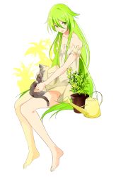 Rule 34 | 1girl, alternate color, alternate eye color, alternate hair color, animal, animal on lap, bad id, bad pixiv id, barefoot, braid, cat, cat on lap, dress, feet, green eyes, green hair, highres, ia (vocaloid), long hair, matching hair/eyes, on lap, plant, potted plant, side braids, simple background, solo, strapless, strapless dress, twin braids, very long hair, vocaloid, watering can, yodare (3yami8)