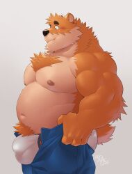Rule 34 | 1boy, absurdres, alternate muscle size, arashi takemoto, ass, bara, big belly, blush, bulge, bulge lift, chest hair, chest tuft, denim, dog boy, dressing, fat, fat man, feet out of frame, from side, furry, furry male, highres, i&#039;ve never seen a guy recreate this successfully tbh (meme), jeans, large bulge, large pectorals, male focus, meme, muscular, muscular male, nipples, open pants, original, pants, pants lift, pectorals, short hair, solo, stomach, topless male, undersized clothes