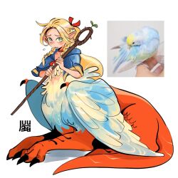 Rule 34 | 1girl, alternate species, ambrosia (dungeon meshi), bird, bird wings, blonde hair, blue capelet, braid, braided sidelock, bxnke, capelet, chimera, choker, claws, commentary, dragon tail, dungeon meshi, elf, english commentary, feathered wings, flying sweatdrops, from side, full body, hair ribbon, highres, holding, holding staff, long hair, looking at viewer, marcille donato, monster girl, open mouth, parakeet, photo inset, pointy ears, red choker, reference inset, ribbon, scales, simple background, solo, staff, tail, taur, twin braids, white background, wings