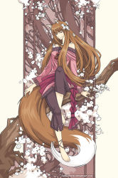 Rule 34 | 1girl, animal ears, anklet, art nouveau, artist name, barefoot, branch, brown hair, capri pants, cinnamoron, flower, holo, jewelry, long hair, pants, red eyes, sitting, smile, solo, spice and wolf, tail, watermark, web address, wolf ears, wolf tail
