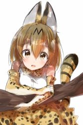Rule 34 | 10s, 1girl, animal ears, bow, bowtie, commentary, elbow gloves, fur collar, gloves, hanging, high-waist skirt, highres, japari symbol, kemono friends, long hair, looking at viewer, open mouth, pentagon (railgun ky1206), print skirt, serval (kemono friends), serval print, serval tail, shirt, simple background, skirt, sleeveless, sleeveless shirt, smile, solo, striped tail, tail, white background, white shirt, yellow bow, yellow bowtie, yellow skirt