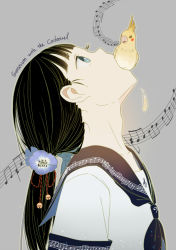 Rule 34 | 1girl, bird, black hair, blue eyes, cockatiel, dhiea, english text, feathers, flower, grey background, hair flower, hair ornament, head back, looking up, mouth hold, musical note, open mouth, original, outline, parrot, ponytail, school uniform, serafuku, simple background, surreal, upper body