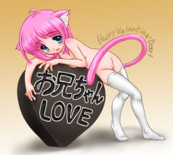 Rule 34 | 1girl, animal ears, blue eyes, blush, cat ears, cat tail, chocolate, cleft of venus, full body, happy valentine, himadarou, nude, original, pink hair, pussy, short hair, solo, tail, thighhighs, uncensored, valentine