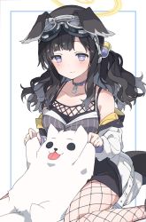 Rule 34 | 1girl, animal ears, bare shoulders, black hair, black shorts, blue archive, blush, breasts, closed mouth, collarbone, commission, dog, dog ears, fishnet pantyhose, fishnets, goggles, goggles on head, hair bobbles, hair ornament, halo, hibiki (blue archive), highres, jacket, long hair, long sleeves, low twintails, mochigome (ununquadium), off shoulder, pantyhose, purple eyes, shirt, shorts, sitting, skeb commission, sleeveless, sleeveless shirt, small breasts, smile, solo, twintails, wariza, white jacket