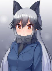 Rule 34 | 10s, 1girl, animal ears, black bow, black bowtie, black hair, blush, bow, bowtie, breasts, brown eyes, closed mouth, commentary request, eyelashes, fox ears, grey hair, hair between eyes, highres, jacket, kemono friends, lips, long hair, looking at viewer, medium breasts, multicolored hair, silver fox (kemono friends), solo, upper body, watayoshi (suiiho)