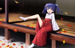 Rule 34 | 10s, 1girl, :o, abe kanari, arm support, autumn leaves, blue hair, blush, bow, bug, dragonfly, foot dangle, full body, hair bow, hair ornament, hakama, hakama skirt, insect, insect on toe, japanese clothes, kusanagi yuma, leaf, leg lift, leg up, legs, long sleeves, looking at viewer, maple leaf, miko, outdoors, purple eyes, short twintails, sitting, skirt, sleeves past wrists, socks, solo, soushin shoujo matoi, surprised, tabi, thighs, twintails, veranda, white socks, wooden floor, yellow bow