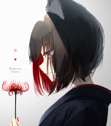 Rule 34 | 1girl, animal ear fluff, animal ears, black hair, black shirt, blush, brown background, closed mouth, eyes visible through hair, flower, gradient background, grey background, hand up, highres, holding, holding flower, latin text, looking away, looking down, mayogii, multicolored hair, nail polish, original, profile, purple eyes, red flower, red hair, red nails, shirt, solo, spider lily, translation request, two-tone hair