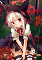 Rule 34 | 1girl, azur lane, black cape, black skirt, blurry, blurry background, blurry foreground, blush, cape, chinomaron, closed mouth, commentary request, day, depth of field, erebus (azur lane), flower, hair between eyes, head tilt, highres, hood, hooded cape, horns, long hair, outdoors, pleated skirt, puffy short sleeves, puffy sleeves, red eyes, red flower, shirt, short sleeves, signature, silver hair, sitting, skirt, smile, solo, striped clothes, striped thighhighs, thighhighs, torn clothes, twitter username, wariza, white shirt
