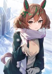 Rule 34 | 1girl, absurdres, animal ears, black coat, blurry, blurry background, breasts, breath, brown eyes, brown hair, coat, ear covers, highres, horse ears, horse girl, horse tail, looking at viewer, multicolored hair, nice nature (umamusume), open mouth, outdoors, reaching, reaching towards viewer, scarf, shino sto, small breasts, snow, solo, streaked hair, sweater, tail, umamusume, upper body, yellow sweater
