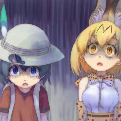 Rule 34 | 10s, 2girls, animal ears, backpack, bag, bare shoulders, black hair, blonde hair, blue eyes, bucket hat, commentary request, elbow gloves, gloves, hat, hat feather, kaban (kemono friends), kemono friends, multiple girls, neck ribbon, ribbon, serval (kemono friends), serval print, shaded face, short hair, surprised, t jiroo (ringofriend), yellow eyes