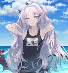 Rule 34 | 1girl, absurdly long hair, ahoge, armpits, arms up, blue archive, blue one-piece swimsuit, blue sky, cloud, demon wings, expressionless, grey hair, hair ornament, hairpin, halo, hands in hair, highres, hina (blue archive), hina (swimsuit) (blue archive), horizon, long hair, looking at viewer, name tag, one-piece swimsuit, one side up, outdoors, parted bangs, purple eyes, school swimsuit, skin tight, sky, solo, swimsuit, toshio, upper body, very long hair, wet, wet hair, whistle, wings