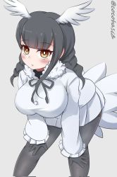 Rule 34 | 1girl, artist name, black-headed ibis (kemono friends), black gloves, black hair, blush, breasts, brown eyes, cocohasi, eyelashes, female focus, gloves, grey background, hands on own knees, head wings, highres, kemono friends, large breasts, leaning forward, looking at viewer, medium hair, open mouth, pantyhose, parted lips, simple background, solo, standing, tail, wings