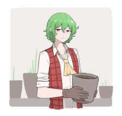 Rule 34 | 1boy, ascot, flower pot, genderswap, genderswap (ftm), gloves, green hair, highres, kazami yuuka, long sleeves, mata (matasoup), plaid, plaid vest, red eyes, red vest, shirt, short hair, simple background, sleeves rolled up, solo, touhou, vest, white background, white shirt, yellow ascot