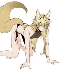 Rule 34 | 1boy, all fours, androgynous, animal ears, bishounen, blonde hair, brown shirt, closed mouth, collar, commentary, english commentary, fox boy, fox ears, fox tail, highres, honkai: star rail, honkai (series), long hair, looking at viewer, low ponytail, luocha (honkai: star rail), male focus, mgph, red collar, shirt, sleeveless, sleeveless shirt, solo, tail, twitter username, white background