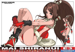 Rule 34 | 1girl, absurdres, breasts, brown eyes, brown hair, cleavage, falcoon, highres, large breasts, long hair, official art, pelvic curtain, revealing clothes, shiranui mai, snk, the king of fighters