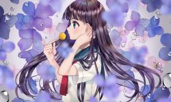 Rule 34 | 1girl, black hair, blue eyes, blue flower, blue sailor collar, blurry, blurry foreground, candy, closed mouth, commentary request, depth of field, floating hair, flower, food, from side, hands up, holding, holding candy, holding food, holding lollipop, hydrangea, lollipop, long hair, looking away, original, pink flower, profile, red neckwear, sailor collar, school uniform, serafuku, shirt, short sleeves, solo, upper body, usamochi., water drop, white shirt