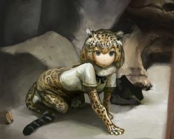 Rule 34 | 10s, 1girl, aasu kirishita, all fours, animal ears, black bow, black bowtie, blonde hair, bow, bowtie, closed mouth, commentary request, elbow gloves, fur collar, gloves, jaguar (kemono friends), jaguar ears, jaguar print, jaguar tail, kemono friends, looking at viewer, orange gloves, pantyhose, shirt, short sleeves, solo, tail, white shirt