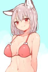 Rule 34 | 1girl, animal ears, arms behind back, bikini, blue background, blue sky, blush, breasts, closed mouth, day, ear down, fox ears, grey hair, highres, large breasts, looking at viewer, medium hair, navel, original, outdoors, red bikini, red eyes, sky, smile, solo, sukemyon, swimsuit, upper body