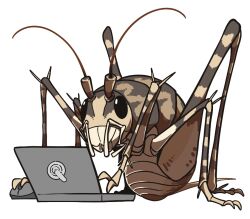 Rule 34 | amerika zarigani, antennae, bug, commentary request, computer, cricket, full body, laptop, manatsu no yo no inmu, mouse (computer), no humans, oversized insect, simple background, transparent background