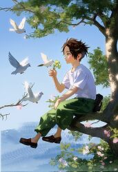 Rule 34 | 1boy, aged down, animal, bird, black hair, blush, branch, cape, dajingyuo, day, flower, forest, freckles, full body, geta, green cape, highres, in tree, leaf, male focus, nature, one piece, outdoors, pink flower, portgas d. ace, shirt, shoes, sitting, sitting in tree, sitting on branch, sky, smile, solo, sunlight, tree, white bird