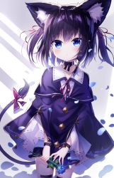 Rule 34 | 1girl, animal ear fluff, animal ears, black choker, black hair, blue eyes, blue flower, blue rose, blush, buttons, capelet, cat ears, cat tail, choker, cloak, closed mouth, collarbone, commentary request, expressionless, floating hair, flower, hair ribbon, hair tubes, highres, kuroneko-chan (satou), original, petals, red ribbon, ribbon, rose, satou (3366 s), short hair, simple background, slit pupils, solo, tail, tail ornament, tail raised, tail ribbon, tareme, thighhighs, white background, wing collar