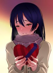 Rule 34 | 1girl, absurdres, blue hair, blush, box, coat, embarrassed, gift, gift box, heart, heart-shaped box, highres, holding, holding box, holding gift, incoming gift, long hair, love live!, love live! school idol project, minted, scarf, simple background, solo, sonoda umi, swept bangs, valentine, yellow eyes