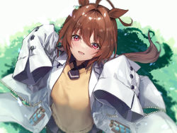 Rule 34 | 1girl, agnes tachyon (umamusume), ahoge, animal ears, blush, coat, earrings, from above, grass, highres, horse ears, horse girl, horse tail, jewelry, lab coat, long sleeves, looking at viewer, open mouth, picoli1313, pink eyes, short hair, single earring, sleeves past fingers, sleeves past wrists, solo, sweater, sweater vest, tail, test tube, umamusume, upper body, white coat, yellow sweater