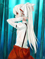 Rule 34 | 1girl, bad id, bad pixiv id, bamboo, bamboo forest, bow, cowboy shot, forest, fujiwara no mokou, hair bow, juliet sleeves, long hair, long sleeves, looking at viewer, nature, pants, ponytail, profile, puffy sleeves, rain, red eyes, red pants, saryuu (iriomote), shirt, silver hair, solo, suspenders, touhou, wet, wet clothes, white shirt