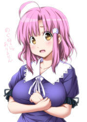 Rule 34 | 1girl, :d, ahoge, blush, breasts, brown eyes, collarbone, commentary request, crossed arms, gakkou gurashi!, highres, large breasts, looking at viewer, nori tamago, open mouth, parted bangs, pink hair, puffy short sleeves, puffy sleeves, sakura megumi, short hair, short sleeves, simple background, smile, solo, tareme, taut clothes, translation request, upper body, white background